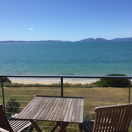 Swansea Beach Chalets מראה חיצוני תמונה