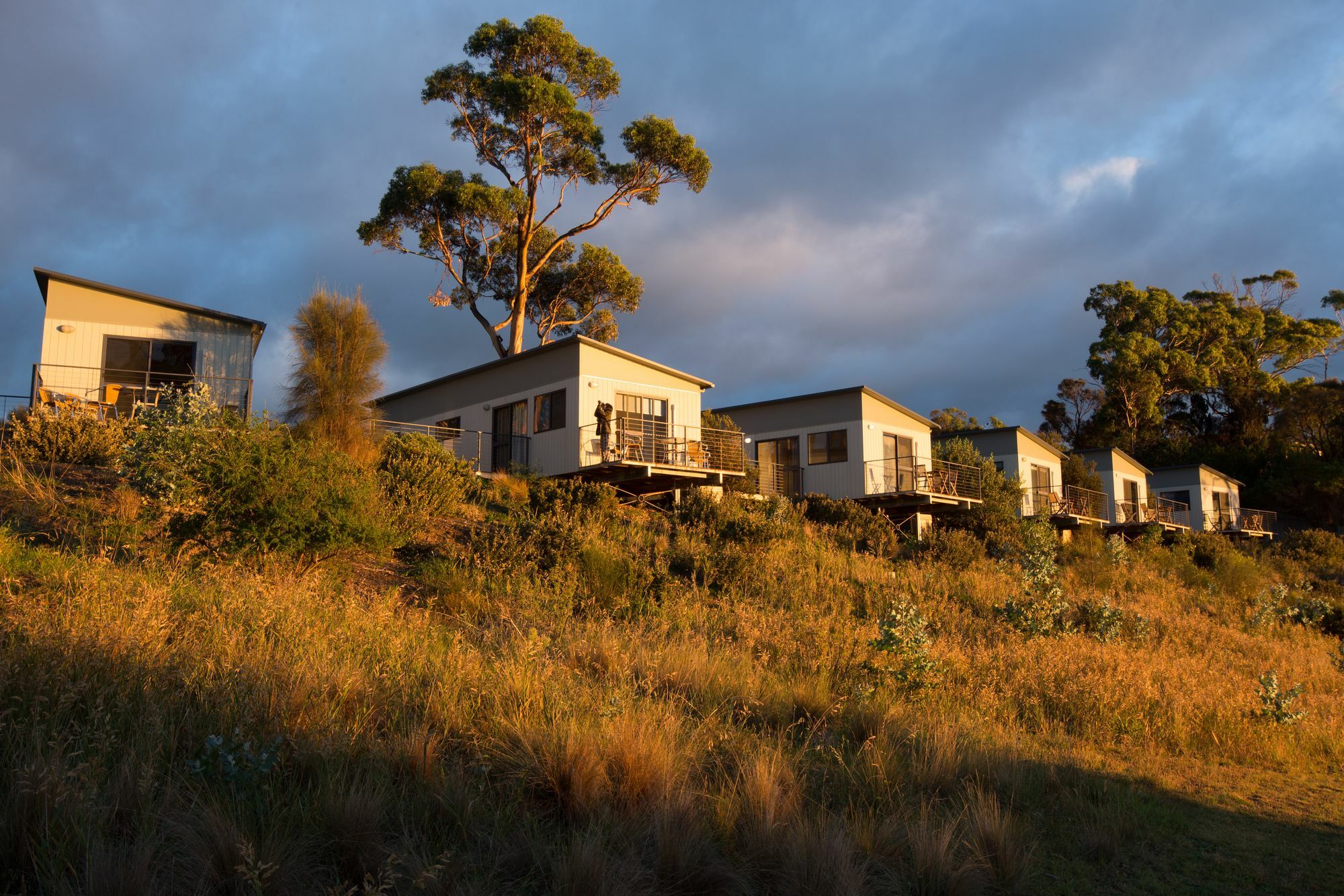 Swansea Beach Chalets מראה חיצוני תמונה